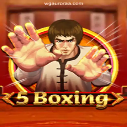 Introducing 5Boxing: The Latest Experience on WG-Aurora Platform