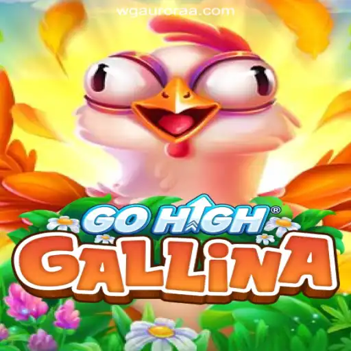 Exploring GoHighGallina: The Premier Experience on WG-Aurora Platform-Official Slots Brasil #1